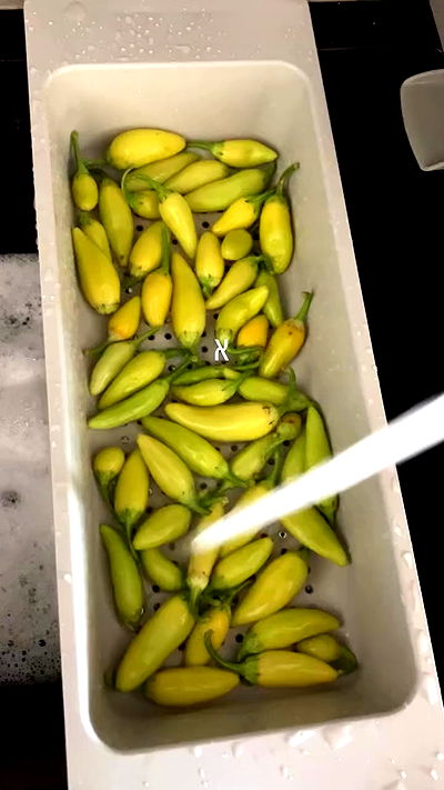 elianachetrit elianachetrit archive video