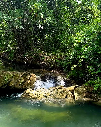 oqr0_ oqr0_ archive video