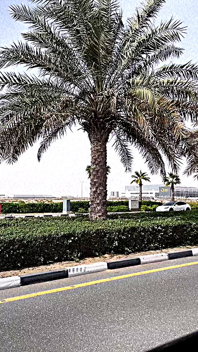 ninja.vi ninja.vi archive video