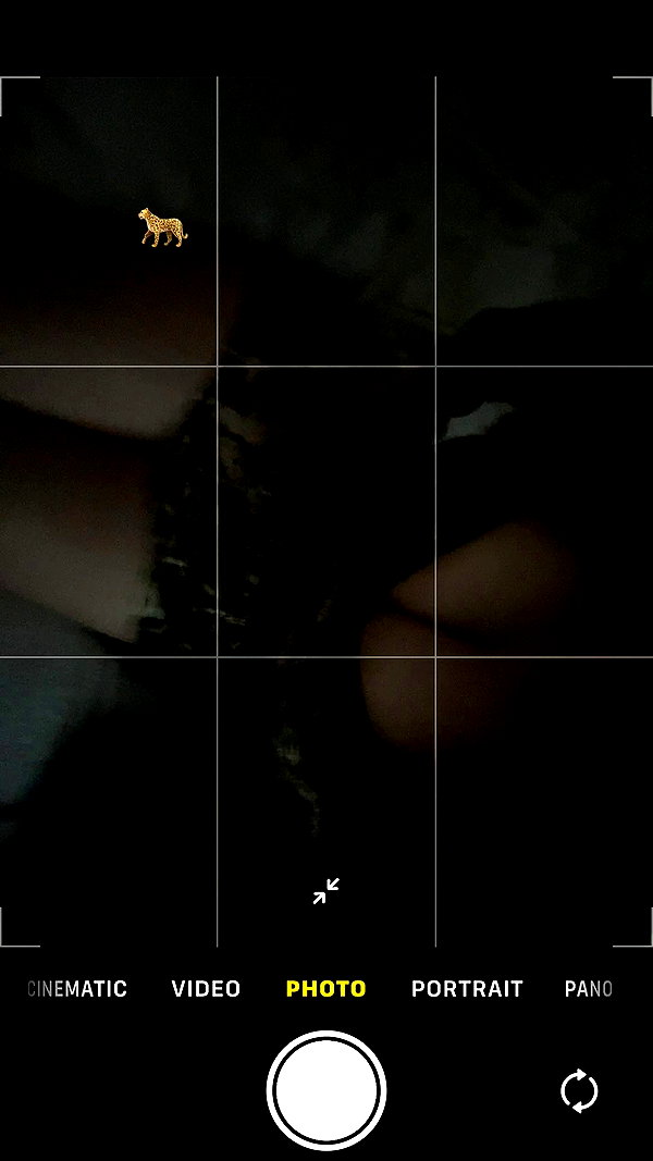 ihyyash archive video preview