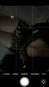 ihyyash Altpins Profile Picture