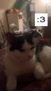 zmbigrl0_o Altpins Profile Picture
