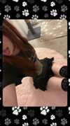 k.ttnf Altpins Profile Picture