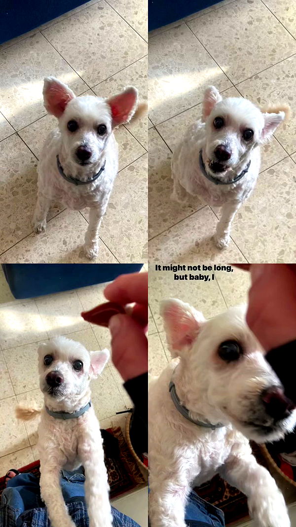 feelbetterinmysweater archive video preview