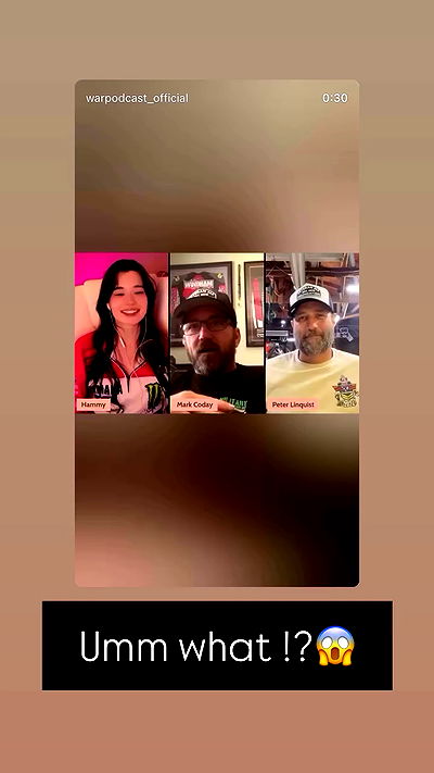 war_hamster6 war_hamster6 archive video