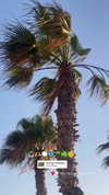 sonia_litvanchuk Altpins Profile Picture