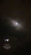 lisush_9 Altpins Profile Picture