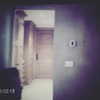 selenagomez Altpins Profile Picture