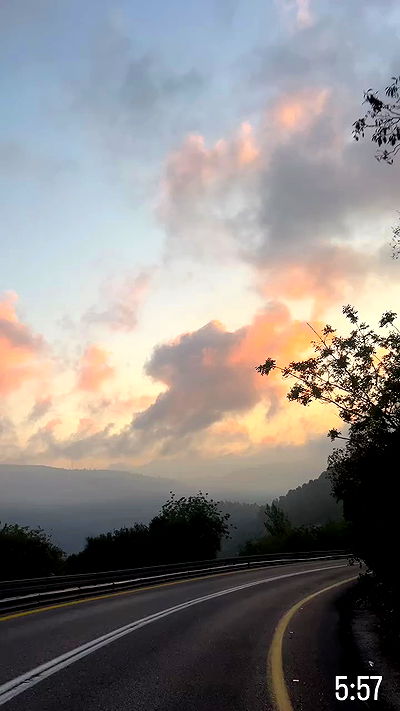 simp_for_cats_ simp_for_cats_ archive video