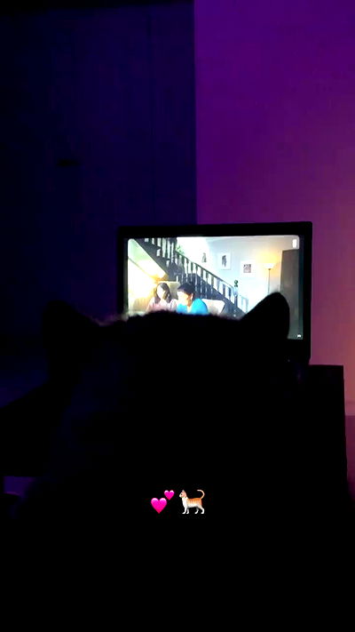 annfigma annfigma archive video