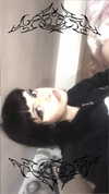 ooxytoc1n Altpins Profile Picture
