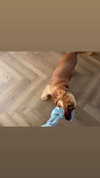 netabar Altpins Profile Picture
