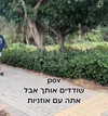 _batzir_haanavim Altpins Profile Picture