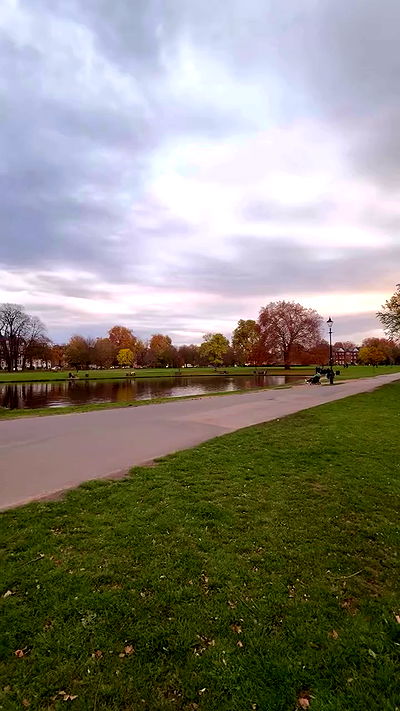 bakedsloths bakedsloths archive video