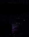 beyonce Altpins Profile Picture