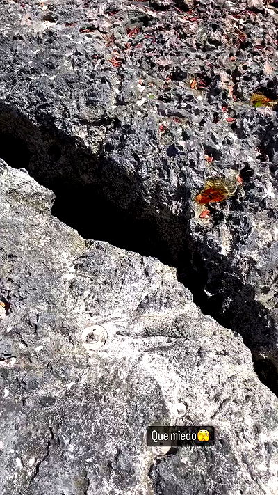 shunli__mei shunli__mei archive video