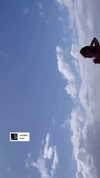 ehcico Altpins Profile Picture