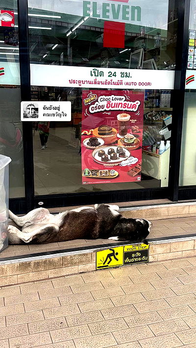 oqr0_ oqr0_ archive video