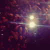selenagomez Altpins Profile Picture