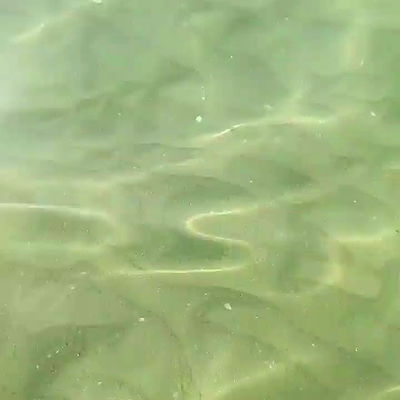 yam_adler yam_adler archive video