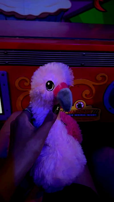 biton__adi biton__adi archive video