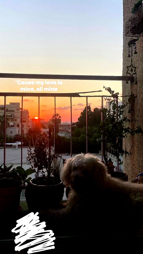 feelbetterinmysweater archive video preview