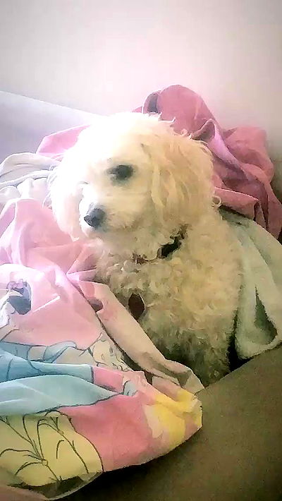 feelbetterinmysweater feelbetterinmysweater archive video