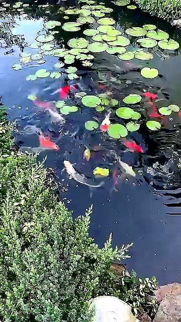 sophieraiin sophieraiin archive video