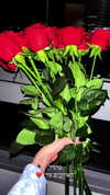 lisush_9 Altpins Profile Picture