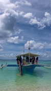 veronika_grish Altpins Profile Picture