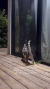 karin_orhov Altpins Profile Picture