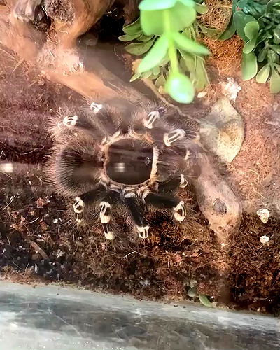 dakotabell05 dakotabell05 archive video