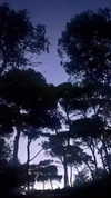lisush_9 Altpins Profile Picture