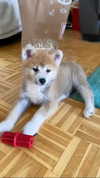 aryssa614 Altpins Profile Picture