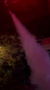 diana_tal_ Altpins Profile Picture