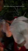 noa_mendel_ Altpins Profile Picture