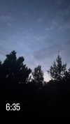 lisush_9 Altpins Profile Picture