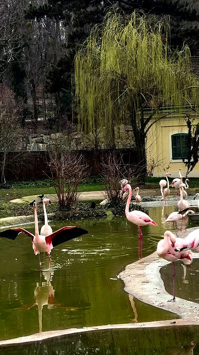 noammalka___ noammalka___ archive video