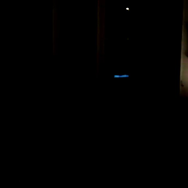 brillacomecamillaa archive video preview