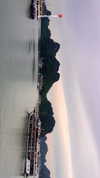 noa_mendel_ Altpins Profile Picture