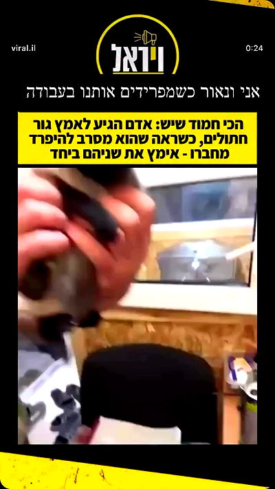 nikolgolovatzky nikolgolovatzky archive video