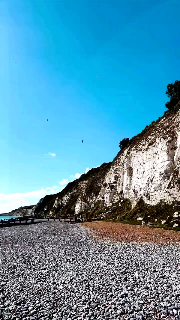 ellauk archive video preview
