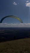 lucywemyss_ Altpins Profile Picture