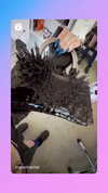 stateofrachel Altpins Profile Picture
