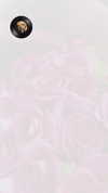 18sandy_ Altpins Profile Picture