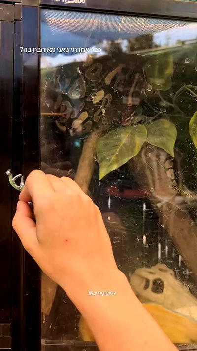 tinapavlov.sky tinapavlov.sky archive video