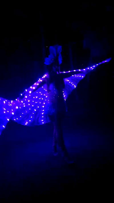 sophieraiin sophieraiin archive video