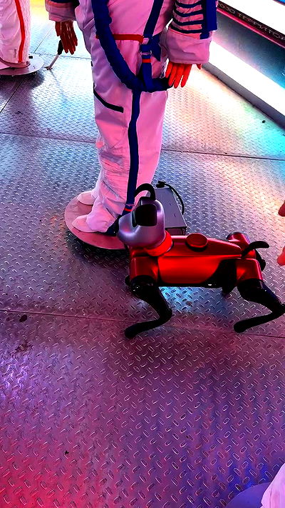 ninja.vi ninja.vi archive video