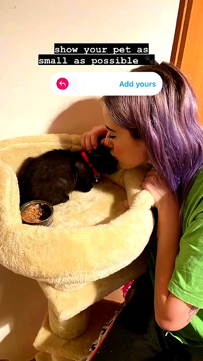 feelbetterinmysweater feelbetterinmysweater archive video