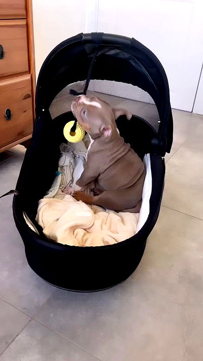 kesemgreenyer kesemgreenyer archive video